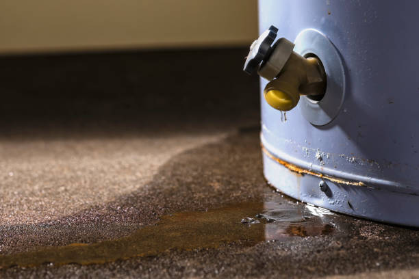 Best Local water damage restoration  in Cecilia, LA