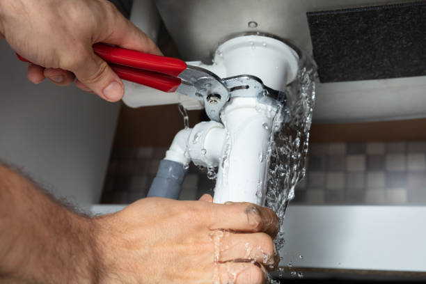 Best Flood restoration services  in Cecilia, LA