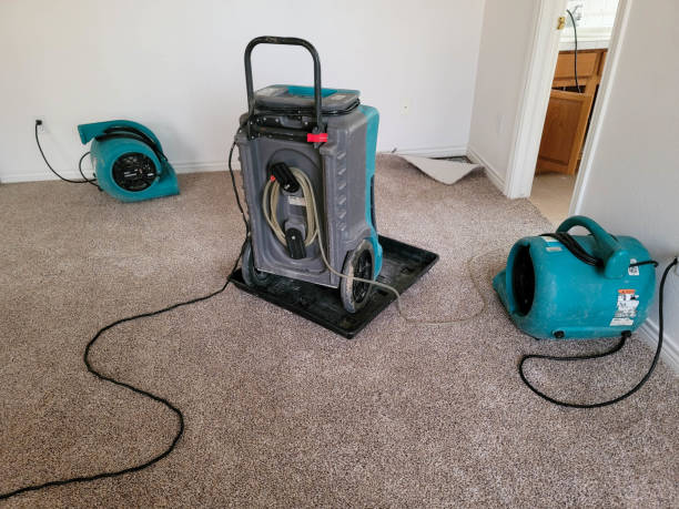Best Water damage restoration company  in Cecilia, LA