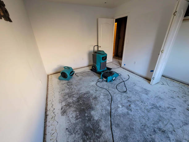  Cecilia, LA Water damage restoration Pros