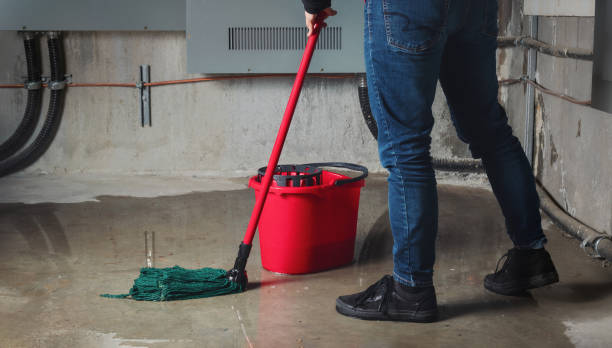 Best 24/7 water damage repair  in Cecilia, LA